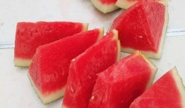 今日吃瓜每日大赛